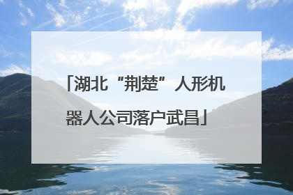 湖北“荆楚”人形机器人公司落户武昌